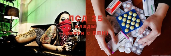 мяу мяу мука Алексеевка